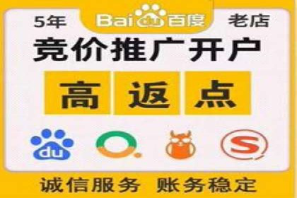百度搜索推广实战经验：经典案例剖析